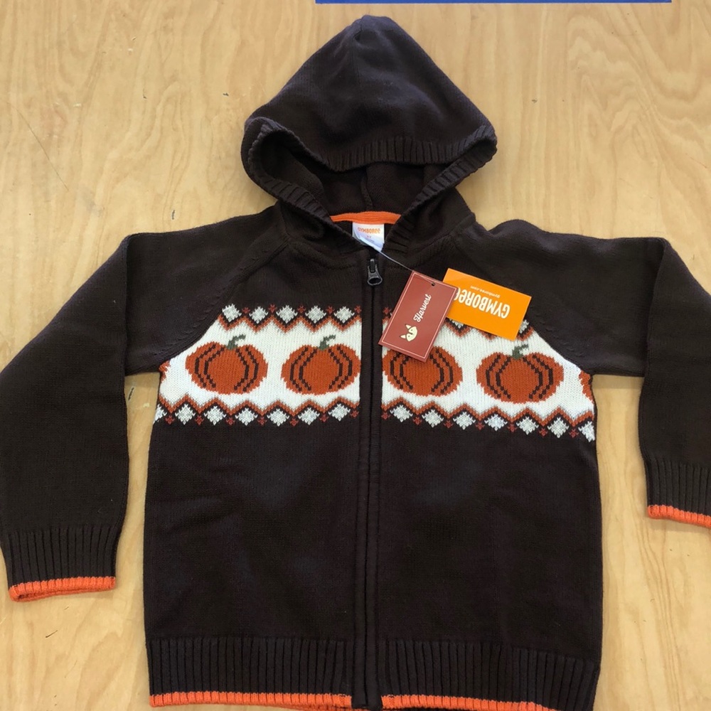 Nwt harvest hoodie pumpkin fall sweater 3t rare Gymboree